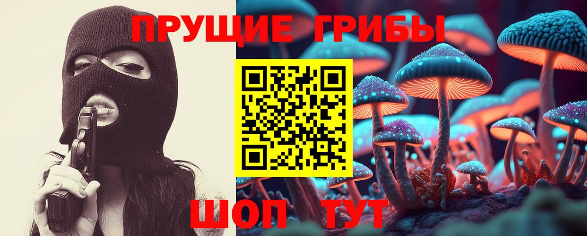 Псилоцибиновые грибы Psilocybine cubensis  Галлюциногенные грибы мицелий  Вход с VPN  Тобольск 